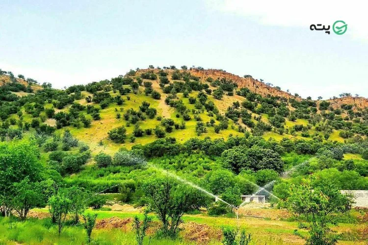 ده بر آفتاب از روستاهای یاسوج