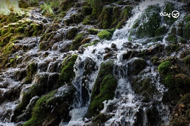 شهنیز از روستاهای یاسوج