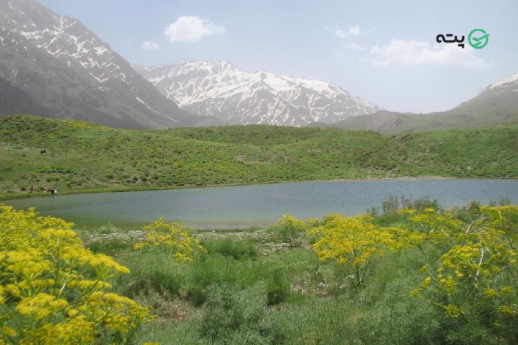 دریاچه گل پل از جاهای دیدنی قائمشهر