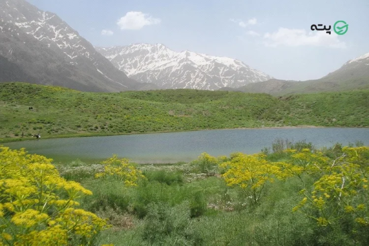 دریاچه گل پل از جاهای دیدنی قائمشهر