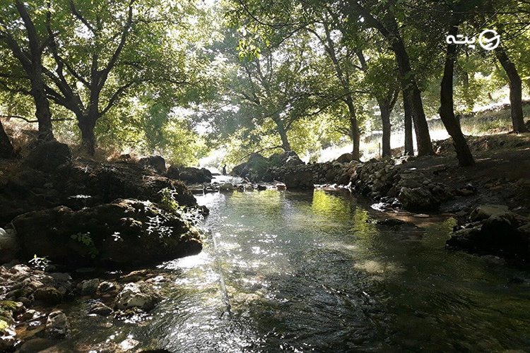 غار کاوات پته