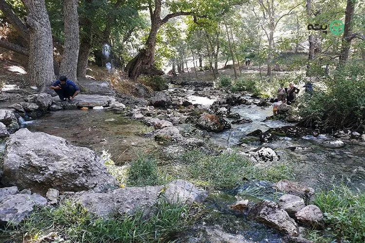 غار کاوات پته