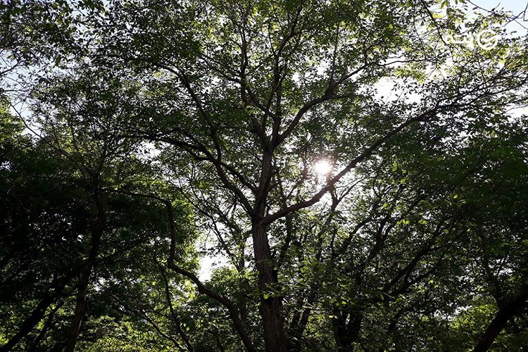 غار کاوات پته