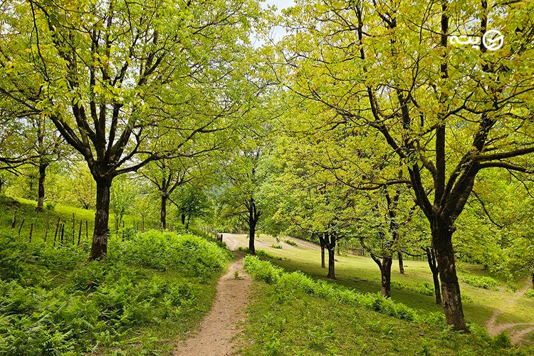 آبشار لوشکی
