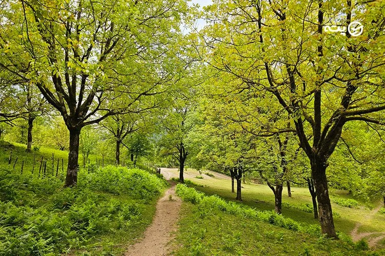 آبشار لوشکی