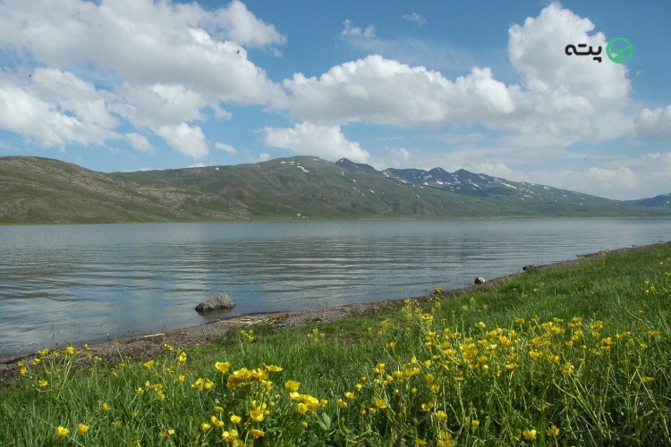 دریاچه نئور