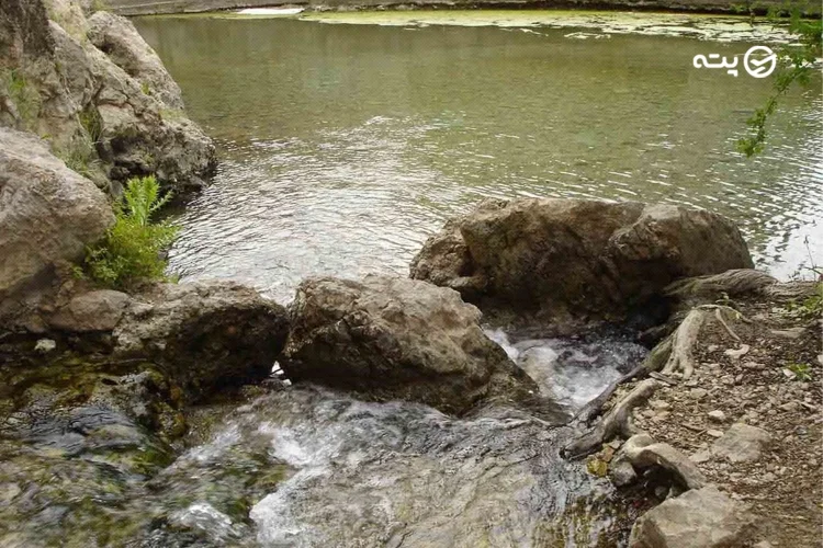 چشمه دریابک