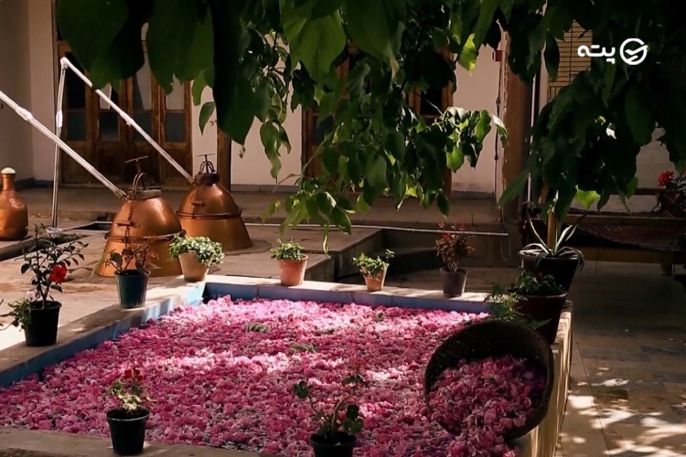 موزه گلاب از جاهای دیدنی قمصر