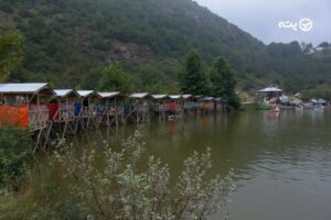 دریاچه قو رامسر | گوهری درخشان در دل جنگل های سبز شمال