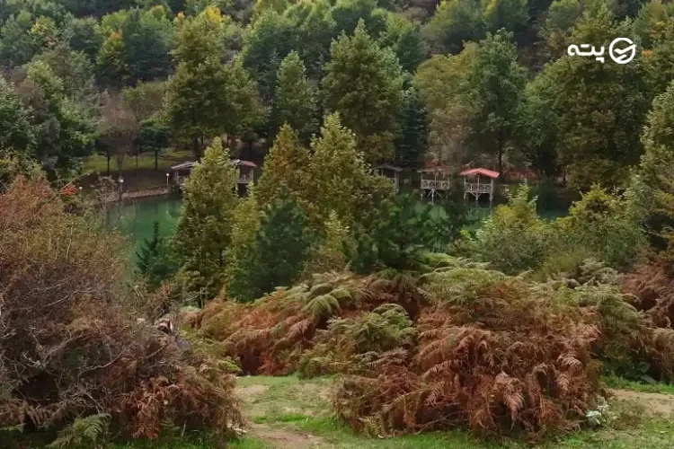 دریاچه قو رامسر