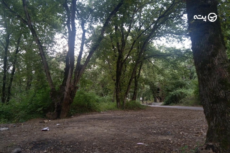پارک شهید زارع ساری