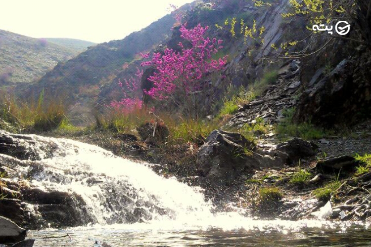 رودخانه پنج دره طرقبه