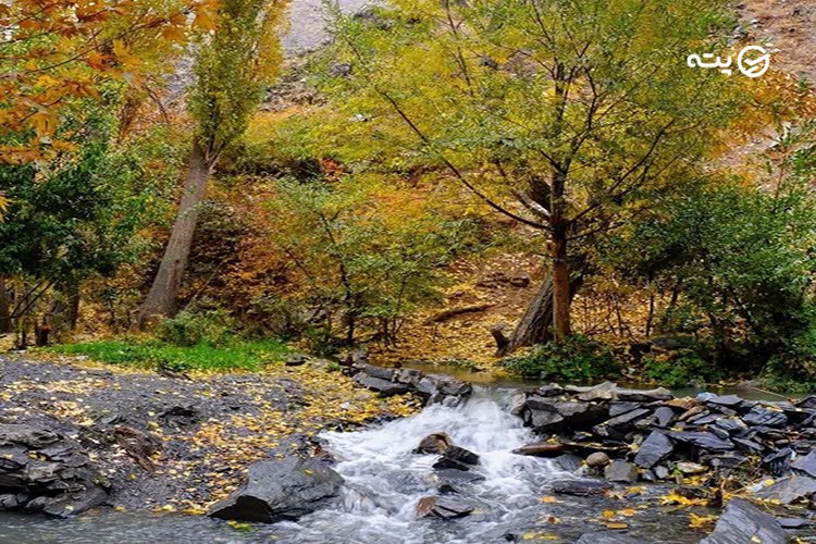 روستای زشک 
