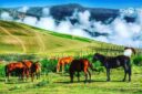 سوباتان | نگین بی نظیر طبیعت تالش با آب و هوای ییلاقی