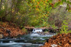 جاهای دیدنی طرقبه | نگین طبیعت مشهد با آب و هوای بی نظیر