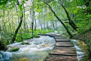 پارک جنگلی النگدره گرگان | بهشت چهارفصل شمال ایران