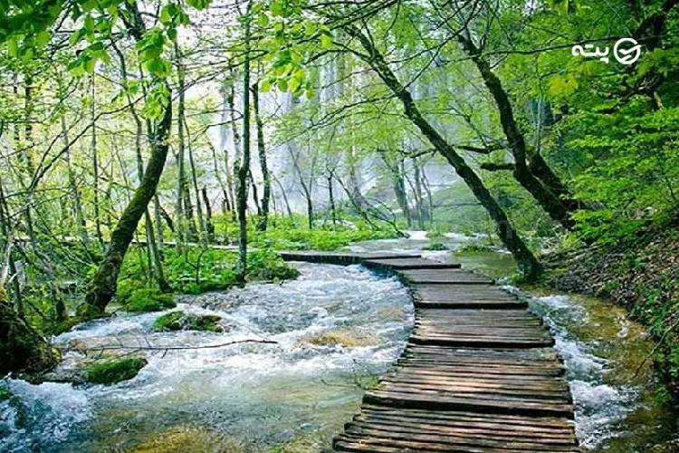 پارک جنگلی النگدره گرگان | بهشت چهارفصل شمال ایران