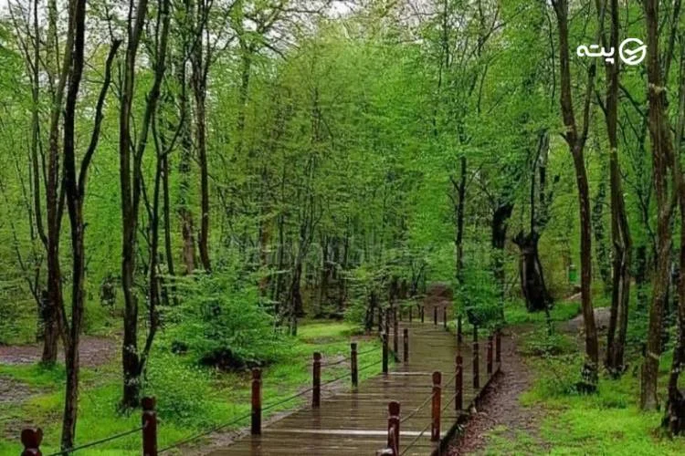 پارک جنگلی النگدره گرگان