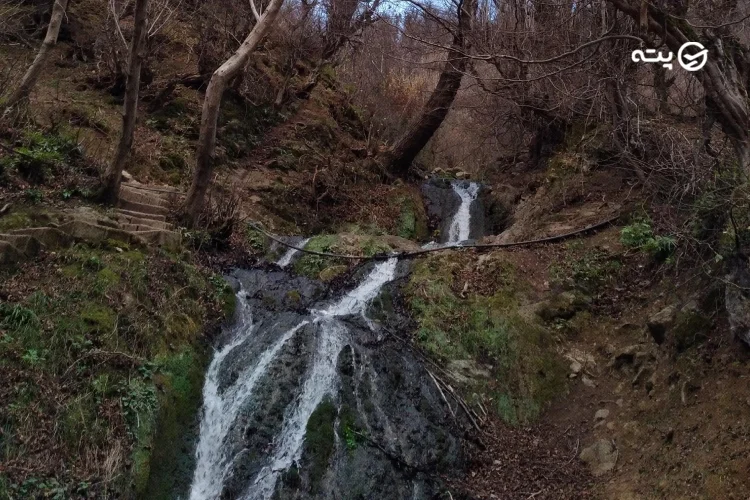 جنگل طلا سکو و آبشار چسلی