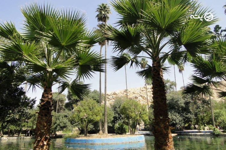 چشمه بلقیس