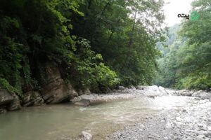 تنگه خیرود نوشهر | زمزمه دل انگیز آب در دل صخره ها