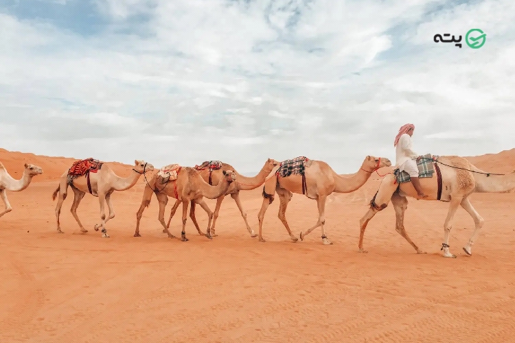 بیابان واهب از جاهای دیدنی مسقط