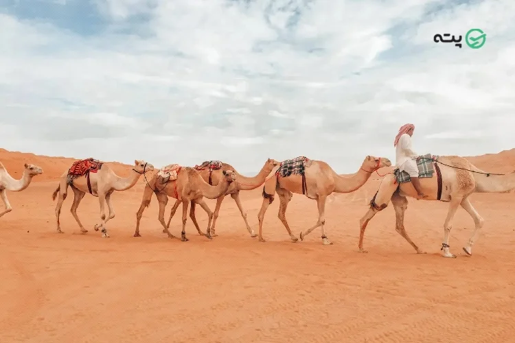 بیابان واهب از جاهای دیدنی مسقط