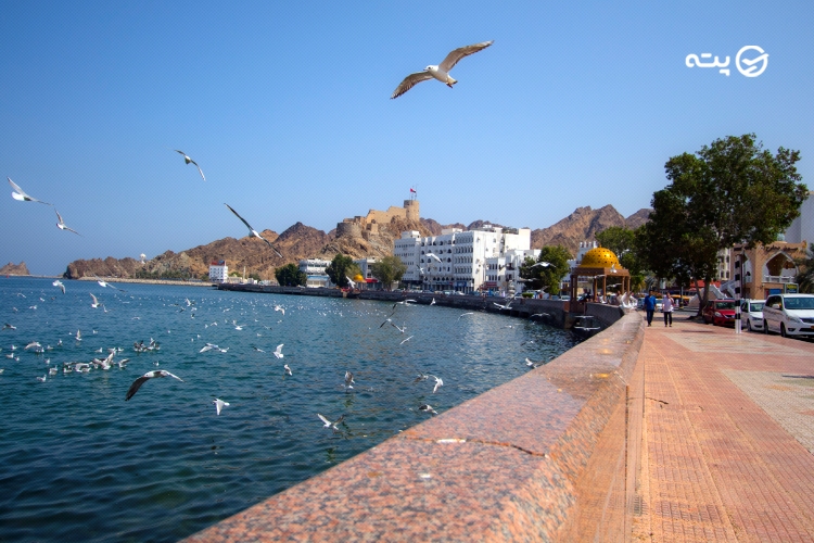 کورنیش مطرح