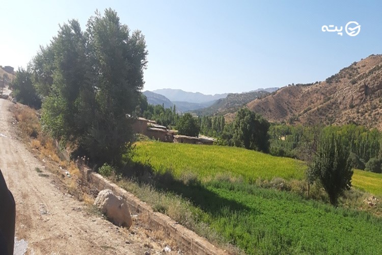ساران پایین