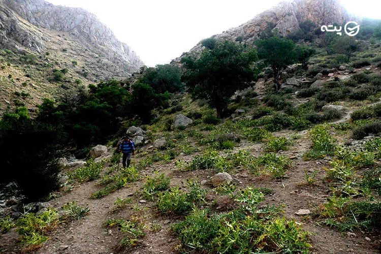 تنگ گمبیل