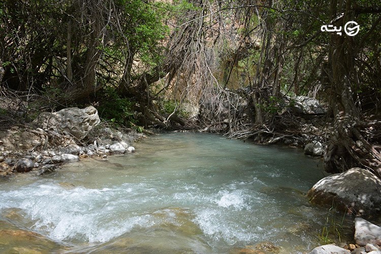 تنگ گمبیل شیراز