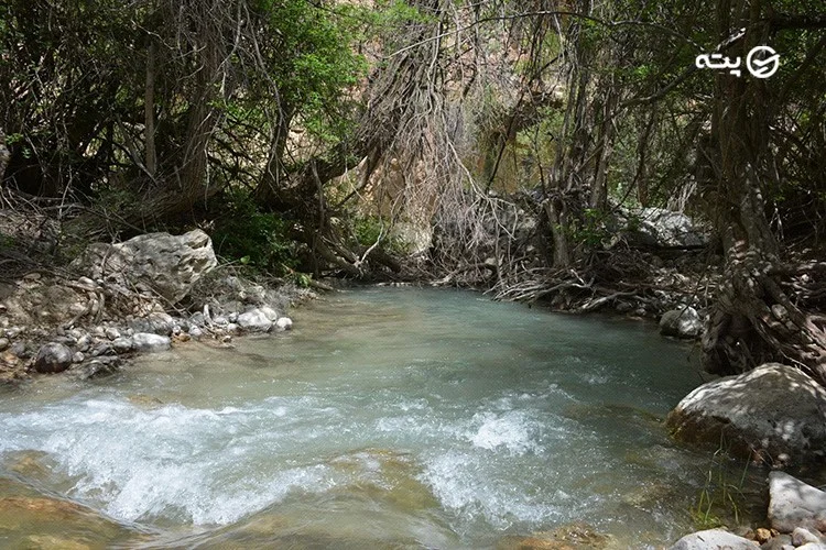 تنگ گمبیل شیراز
