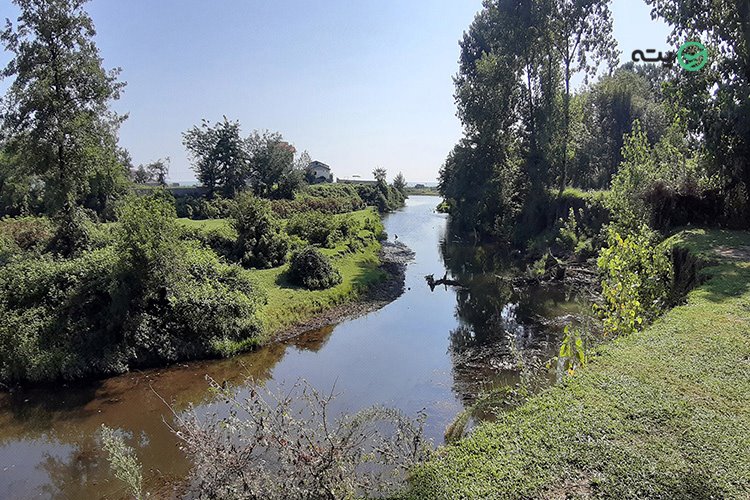 گیسوم از بهترین نقاط گیلان برای کمپینگ