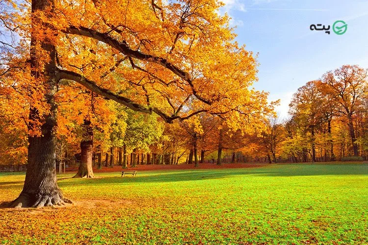 سراوان از بهترین نقاط گیلان برای کمپینگ