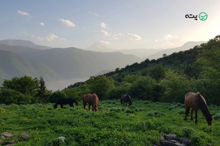 مقاصد سفر پاییز