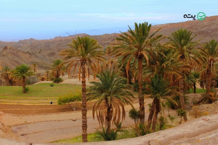 مقاصد سفر پاییز
