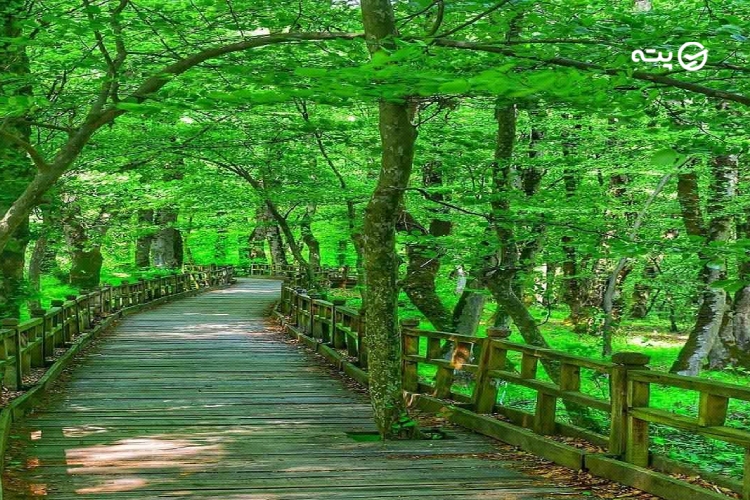 مقاصد سفر پاییز