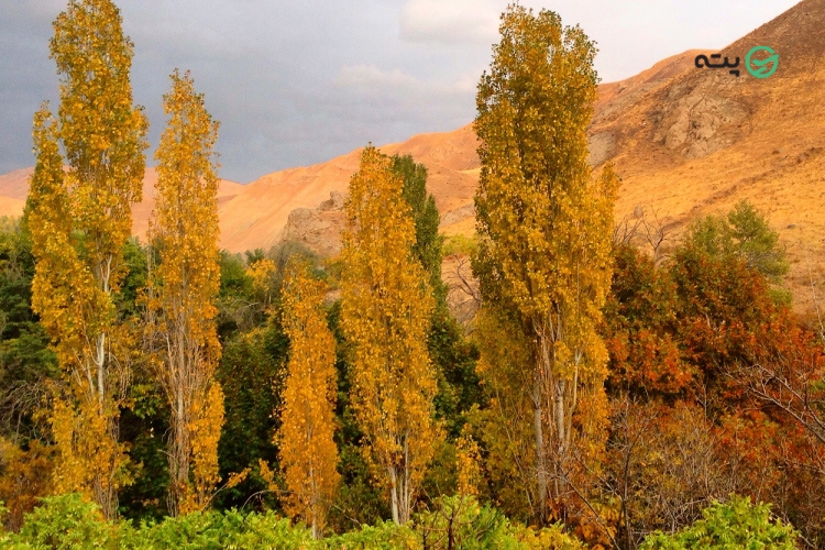 روستای کردان