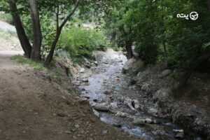 روستای سیبان دره | دره پروانه ها با طبیعت بکر در استان البرز