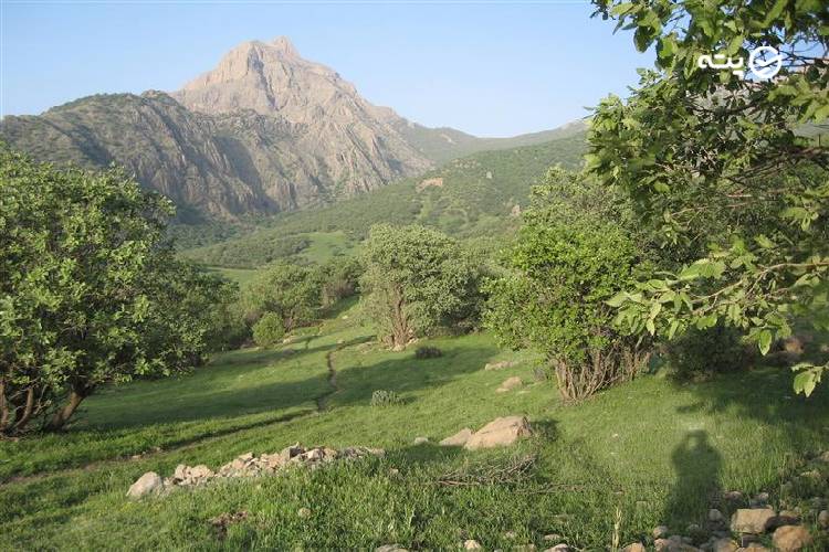 جاهای دیدنی دورود 