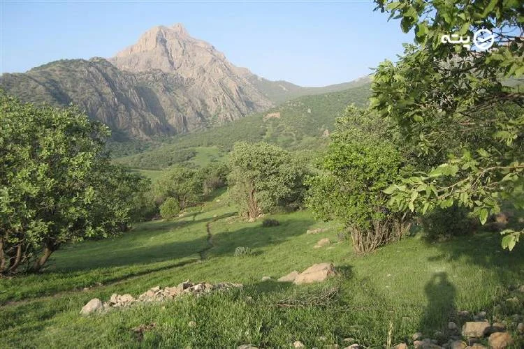 جاهای دیدنی دورود