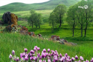 سراب کجاست؟ معرفی شهرستان سراب و دیدنی‌های آن