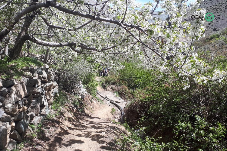 روستای ایگل