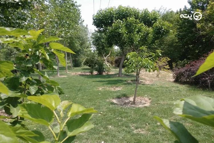 پارک جنگلی توسکا