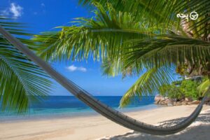 ساحل درختان نارگیل کیش | جذاب ترین ساحل جزیره کیش را بشناسید