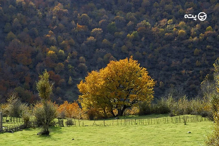 روستای آق​ اولر
