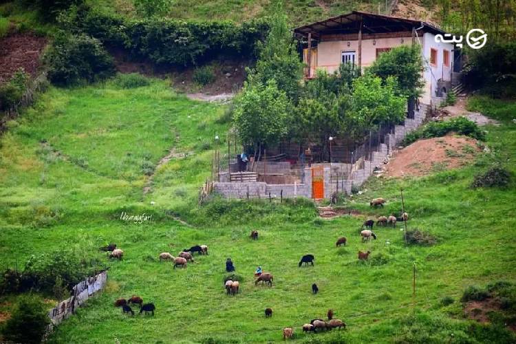 روستای زیارت