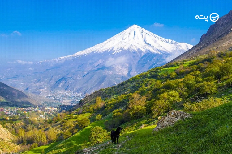 دشت آزو