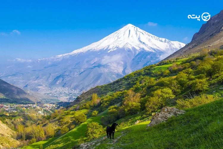 دشت آزو