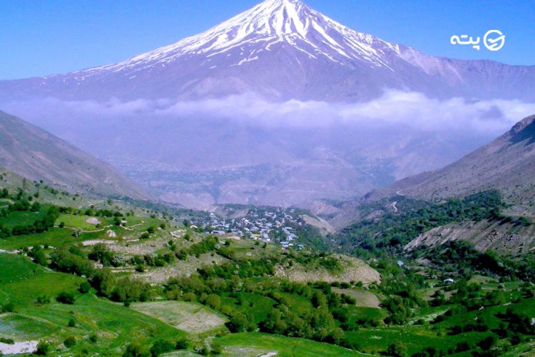 شهر رینه
